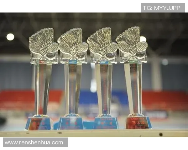 深圳羽毛球队运营策略深度分析与成功经验分享